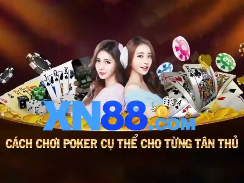 Giới thiệu về xn88