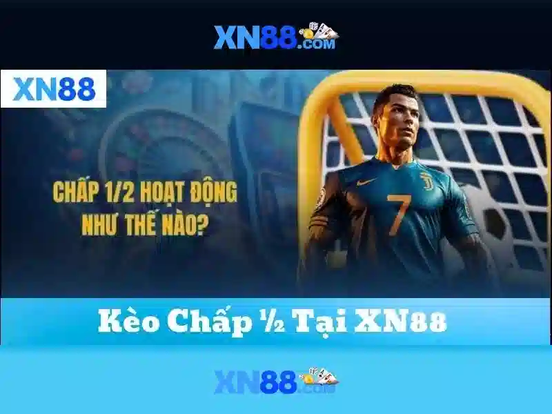 xn88: Đánh giá và thông tin tổng quan
