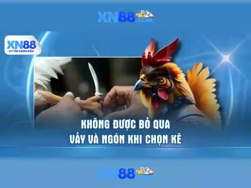 xn88 - Nền tảng giải trí trực tuyến