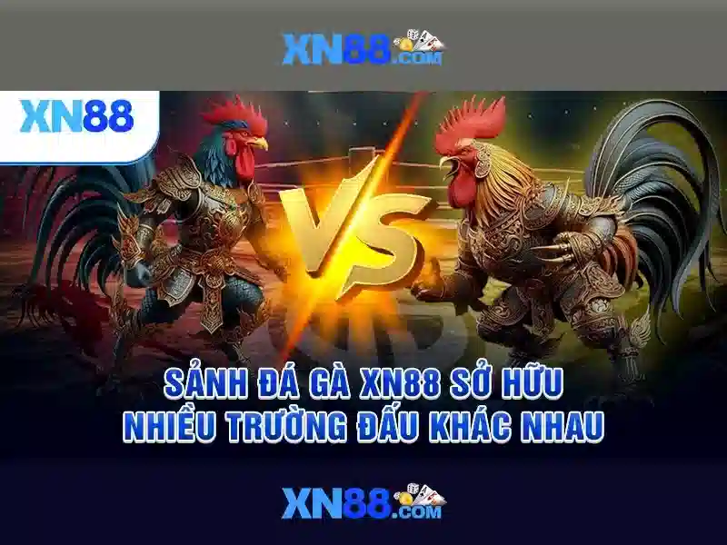 xn88: Giới thiệu và tiềm năng