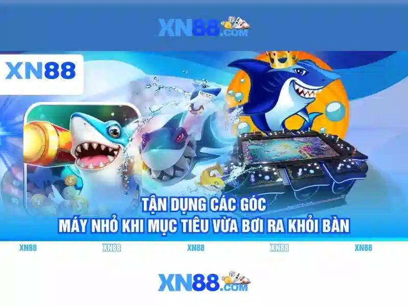 Lịch sử và nguồn gốc