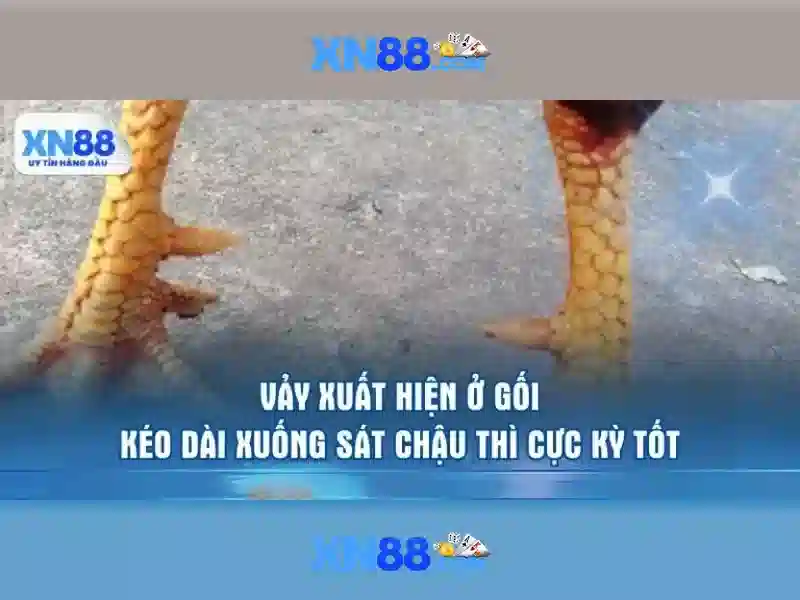Tính năng nổi bật
