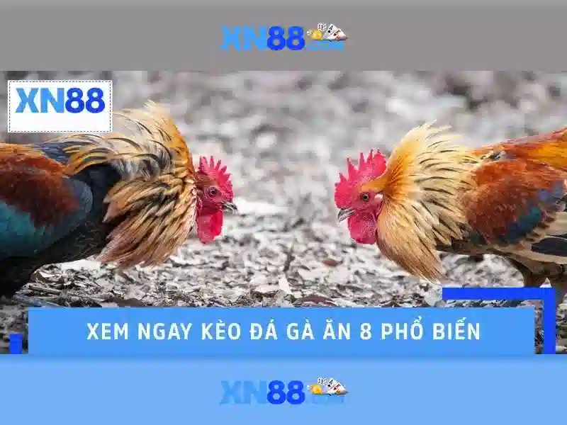 Quản trị rủi ro và mẹo chơi