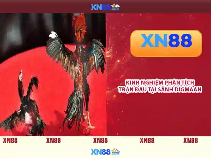 xn88: Tổng quan và ảnh hưởng của nền tảng giải trí trực tuyến