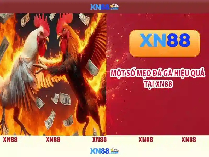 Mẹo và chiến thuật sử dụng hiệu quả