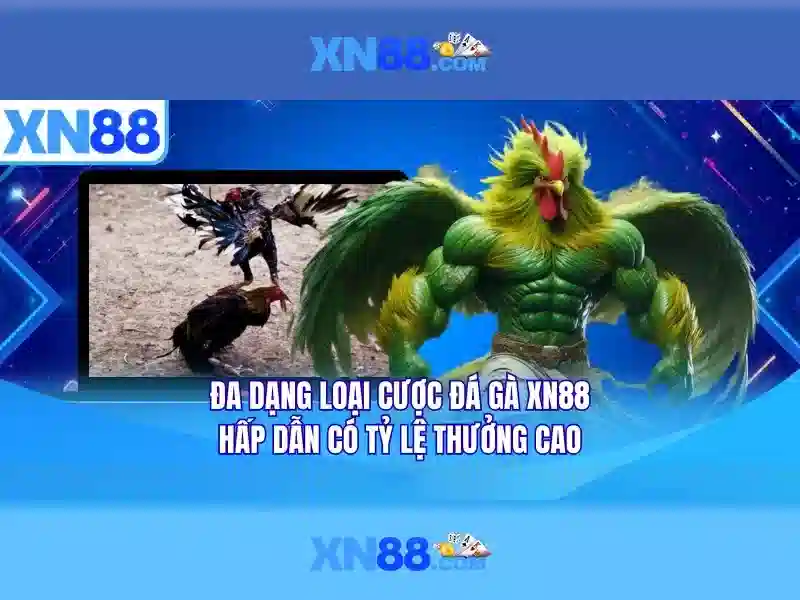 Trải nghiệm người dùng và trò chơi