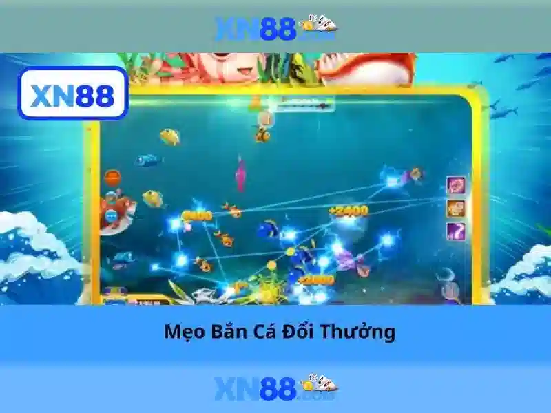 Đa dạng sản phẩm và trải nghiệm người dùng