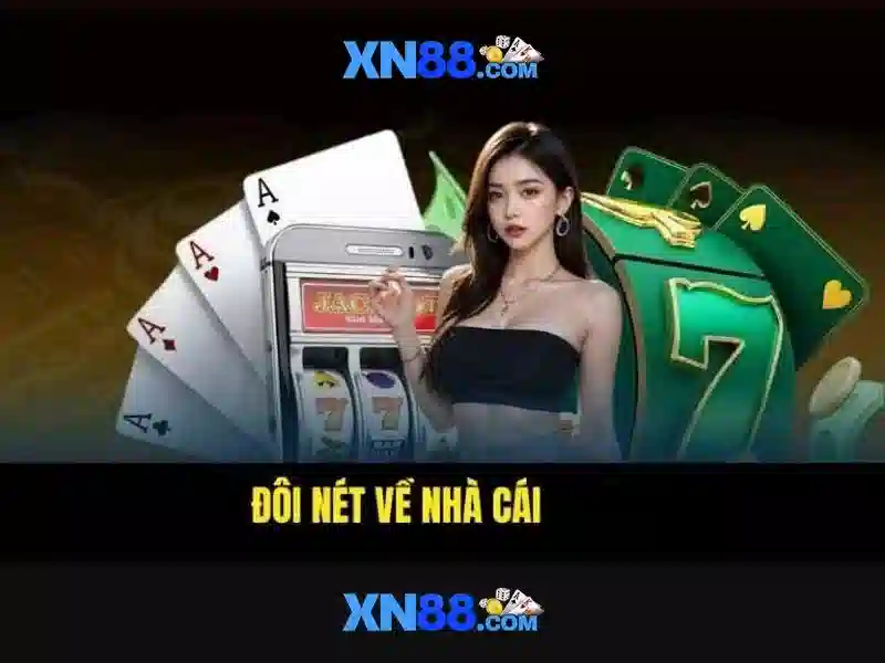 Giao diện và trải nghiệm người dùng