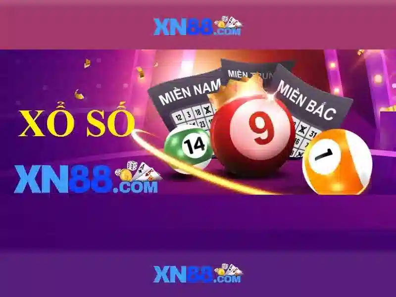 Hỗ trợ người dùng và đội ngũ