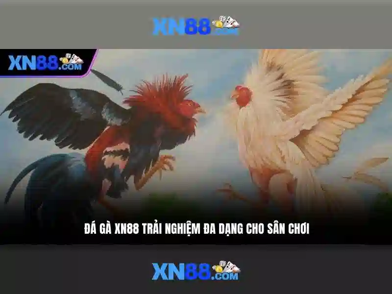Giao diện người dùng và trải nghiệm di động