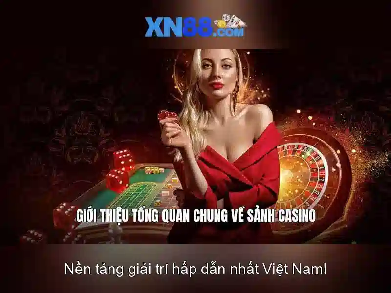 Giới thiệu về xn88