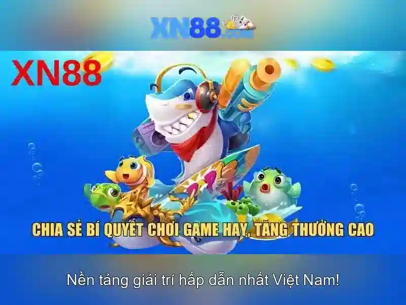 Lịch sử và nguồn gốc