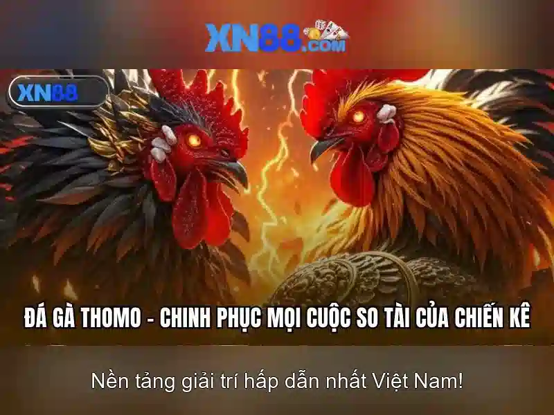 xn88 là gì và tại sao nó nổi bật