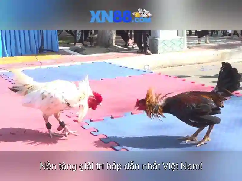 Cách hoạt động và cơ chế thanh toán