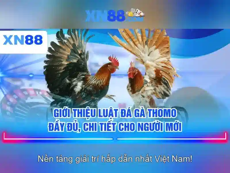 An toàn và bảo mật