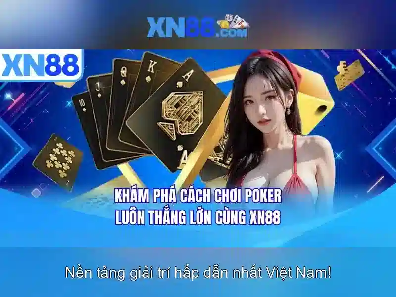 Trải nghiệm người dùng và cộng đồng