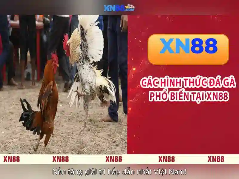 Giới thiệu xn88: Nền tảng giải trí trực tuyến