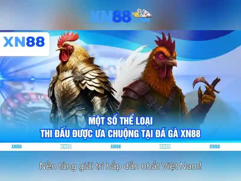 Xn88: Nền tảng cược trực tuyến