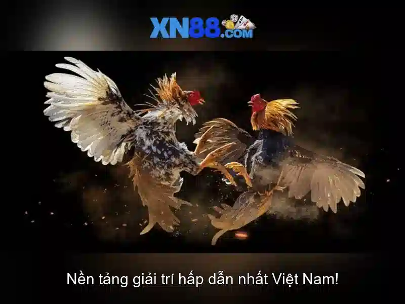 xn88 là gì và tại sao trở nên phổ biến