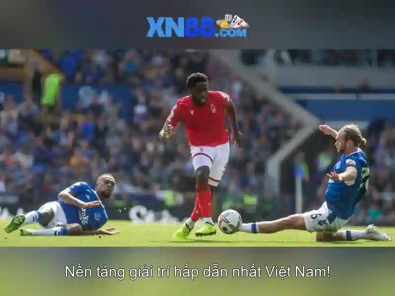 Giới thiệu về xn88