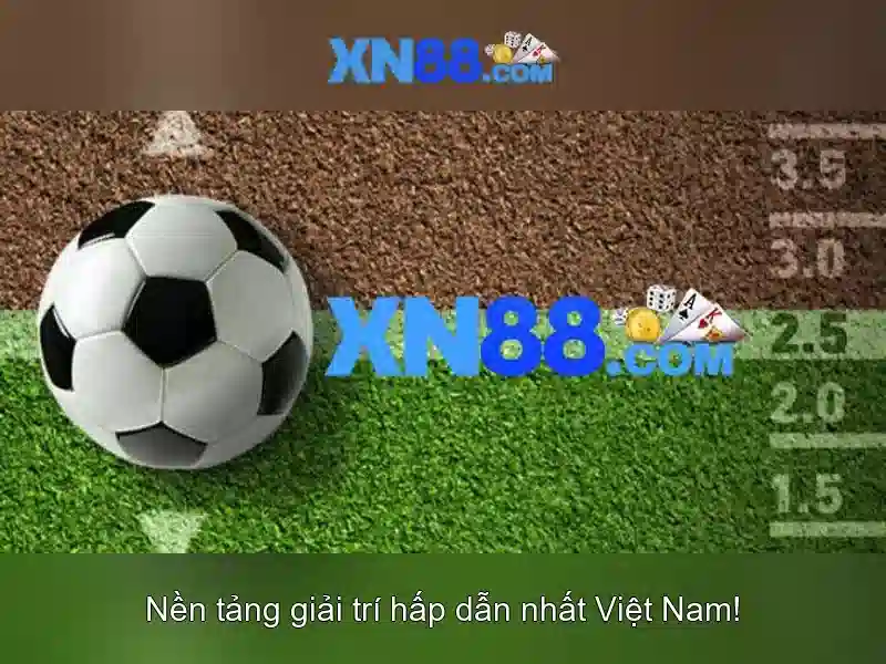 Nền tảng và uy tín