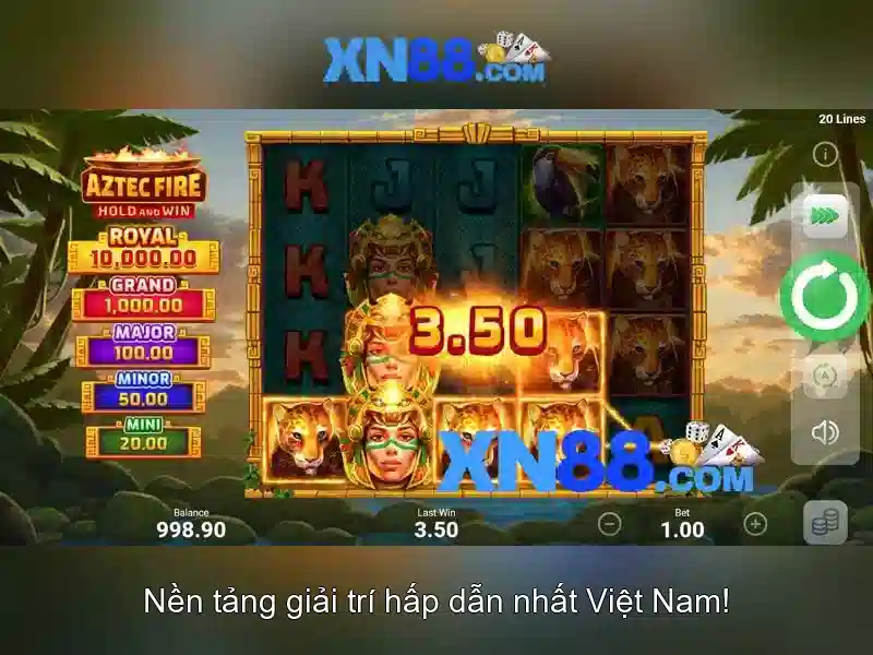 Đánh giá và phản hồi của người dùng