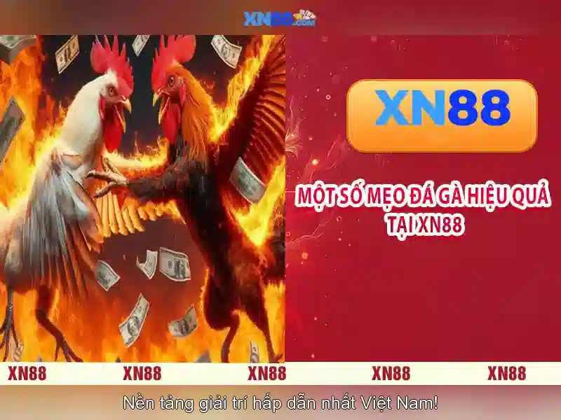 Tính năng nổi bật của xn88