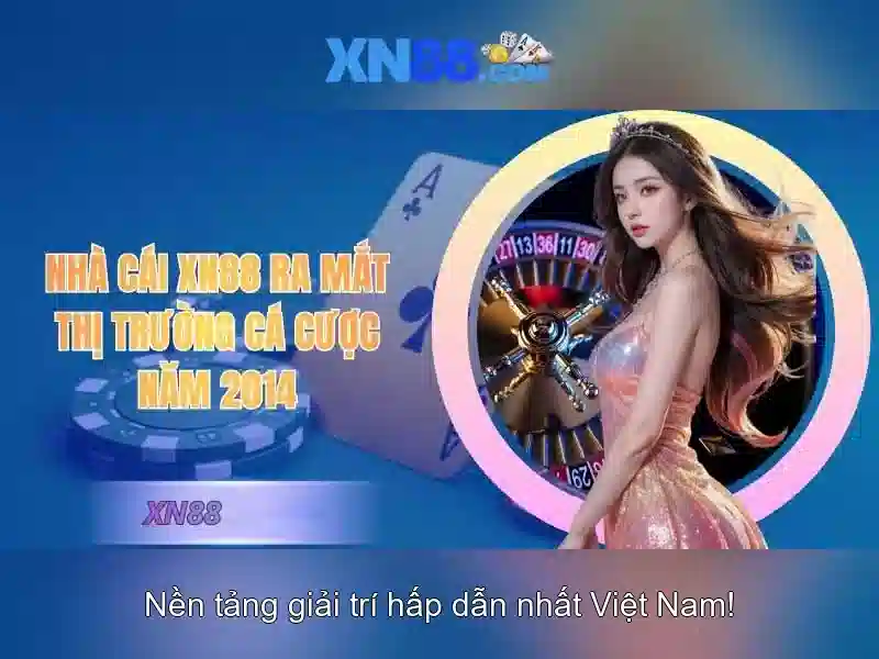 Các đặc điểm nổi bật