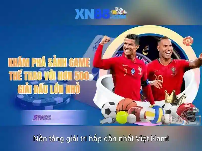 Kết luận và triển vọng