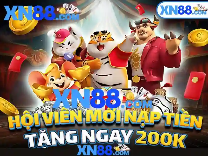 Giới thiệu về xn88
