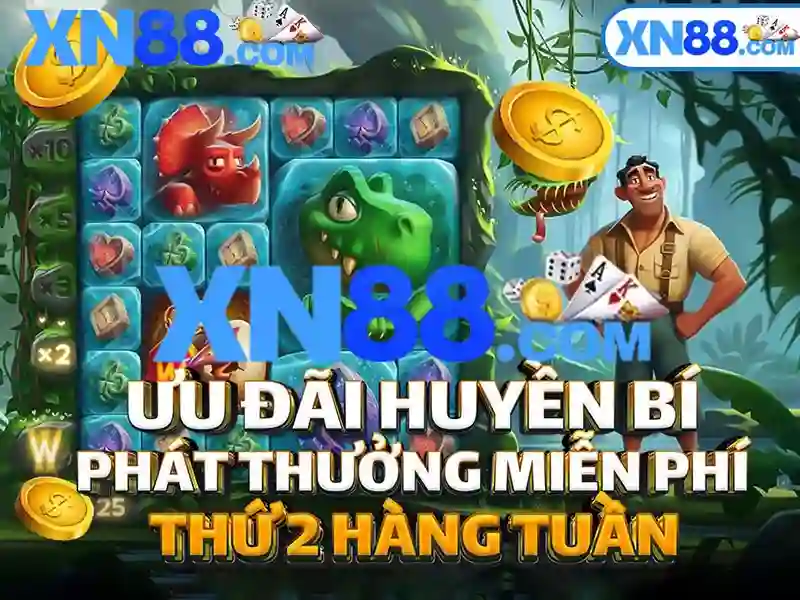 Giới thiệu về xn88